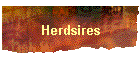 Herdsires