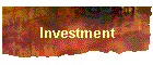 Investment